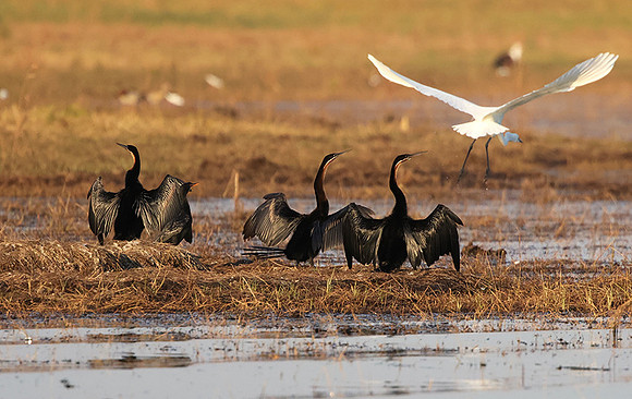 Lake Kariba