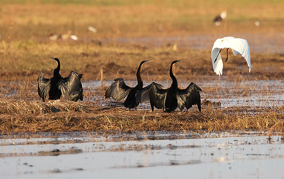 Lake Kariba