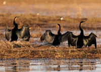 Lake Kariba