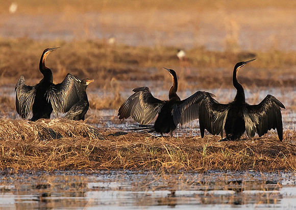 Lake Kariba