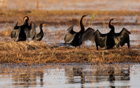 Lake Kariba