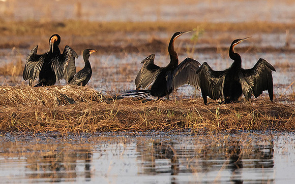 Lake Kariba