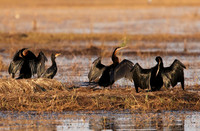 Lake Kariba