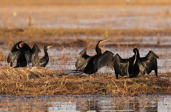 Lake Kariba