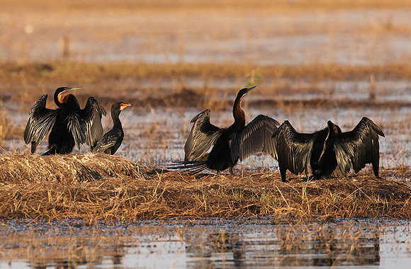 Lake Kariba