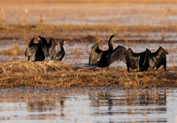 Lake Kariba