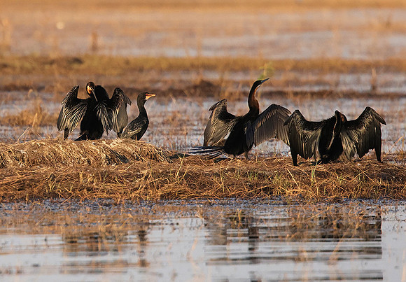 Lake Kariba