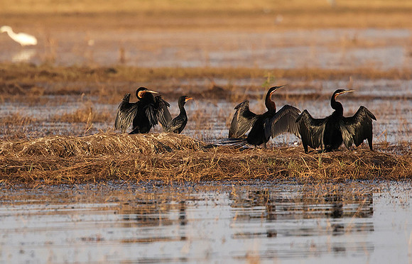 Lake Kariba
