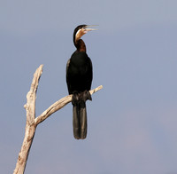 Lake Kariba