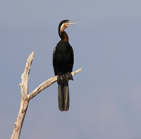 Lake Kariba