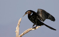 Lake Kariba