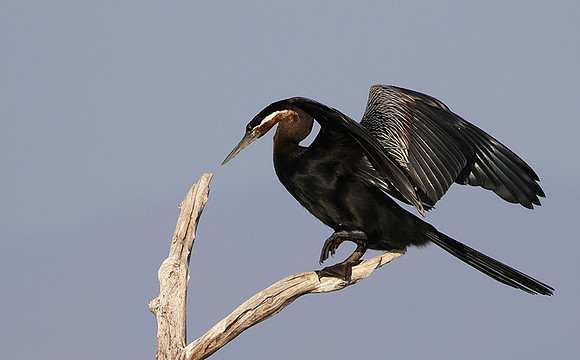 Lake Kariba