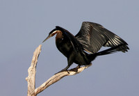 Lake Kariba