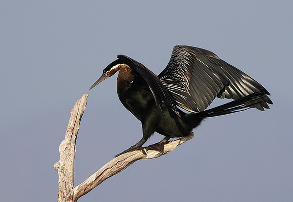 Lake Kariba