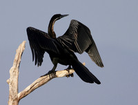 Lake Kariba