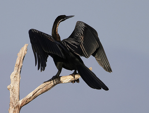 Lake Kariba