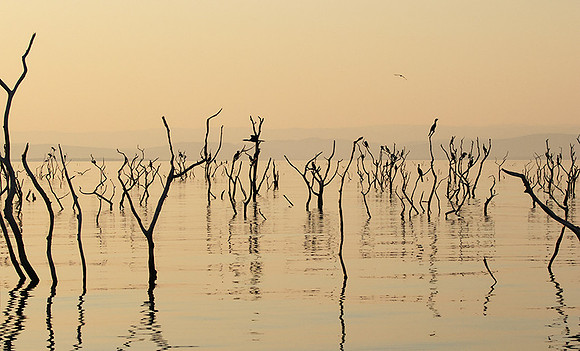 Kariba