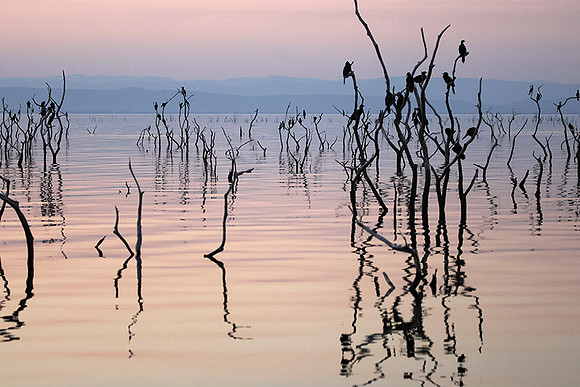 Kariba
