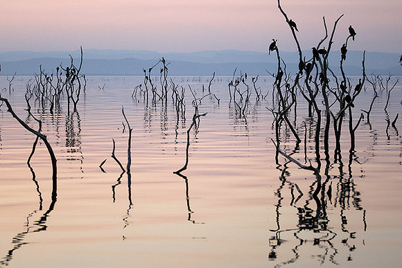 Kariba