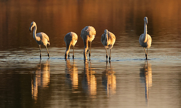 Hwange NP