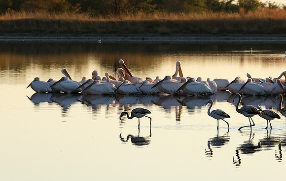 Hwange NP