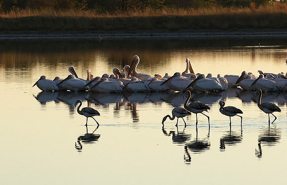 Hwange NP