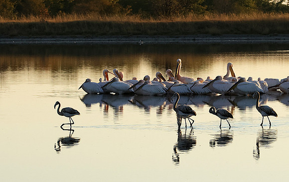 Hwange NP