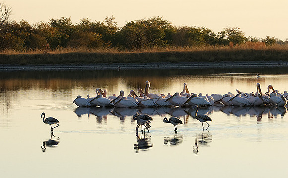 Hwange NP