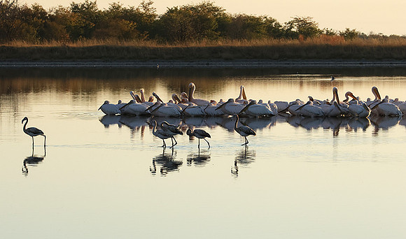 Hwange NP