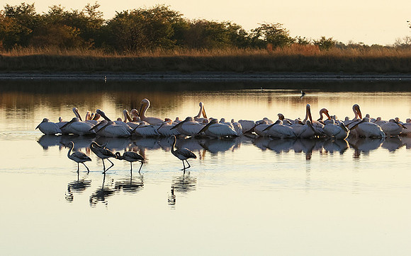 Hwange NP