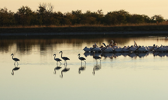 Hwange NP