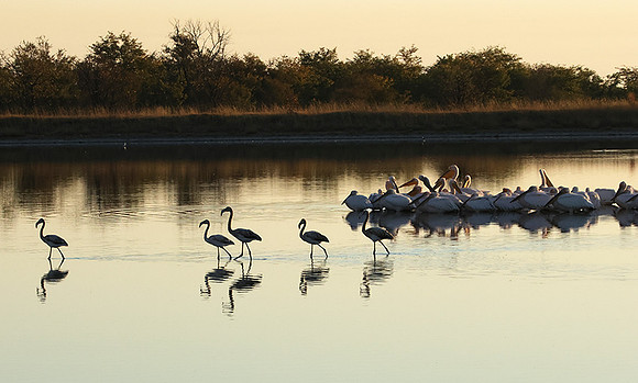 Hwange NP