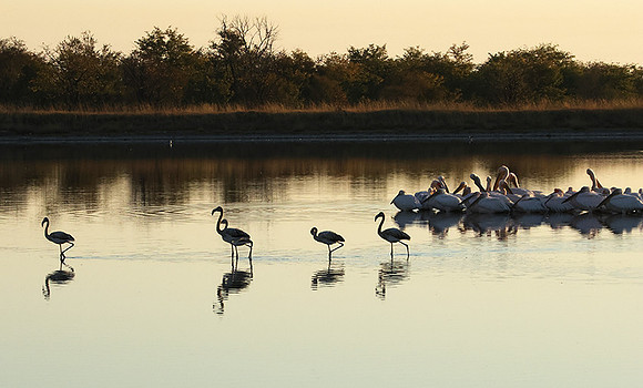 Hwange NP