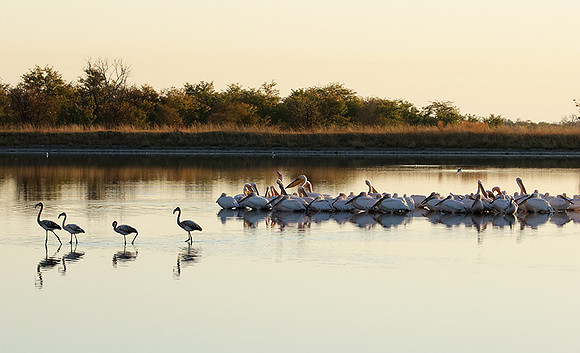 Hwange NP