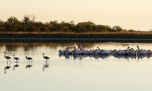 Hwange NP