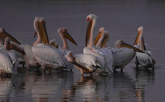 Hwange NP