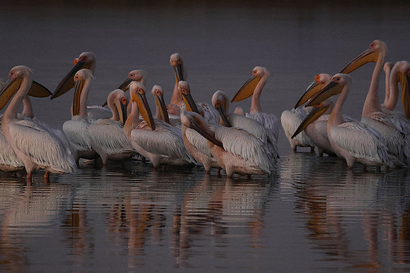Hwange NP
