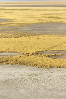 Helicopter flight ove Makgadikgadi salt pan