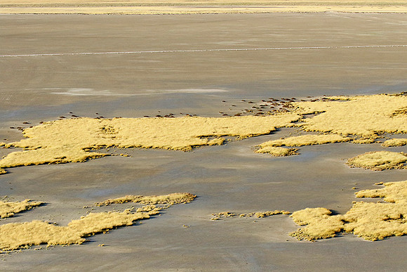 Helicopter flight ove Makgadikgadi salt pan