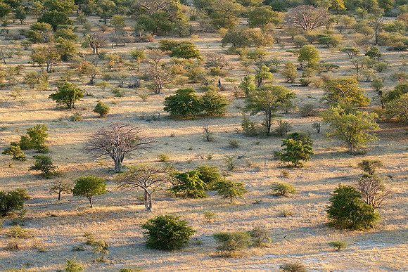 Helicopter flight ove Makgadikgadi salt pan