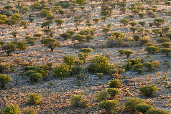 Helicopter flight ove Makgadikgadi salt pan