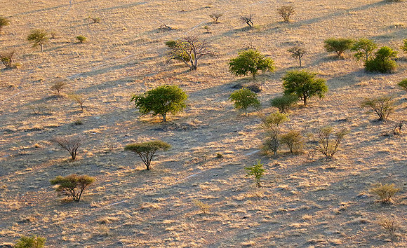Helicopter flight ove Makgadikgadi salt pan