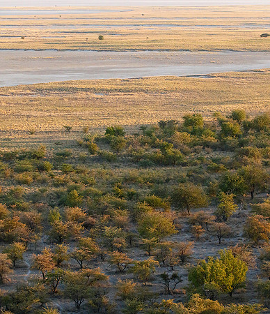 Helicopter flight ove Makgadikgadi salt pan