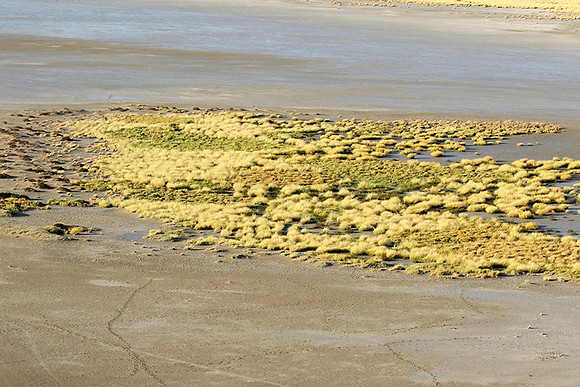Helicopter flight ove Makgadikgadi salt pan