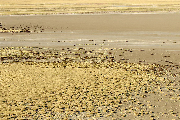 Helicopter flight ove Makgadikgadi salt pan