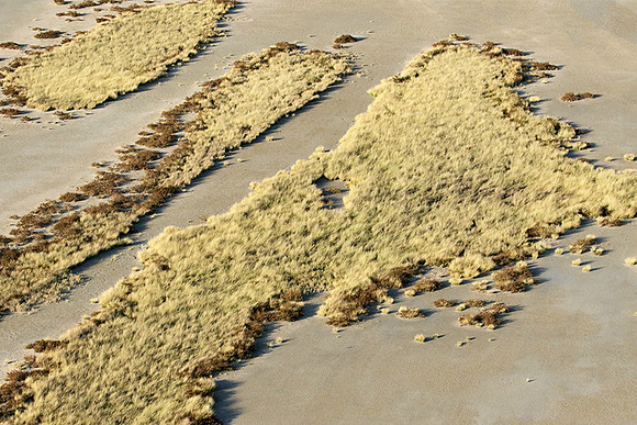 Helicopter flight ove Makgadikgadi salt pan