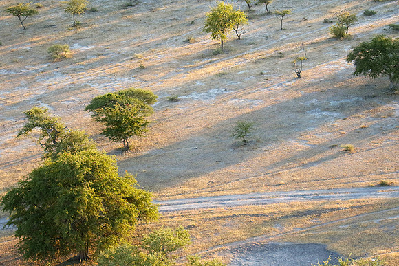 Helicopter flight ove Makgadikgadi salt pan