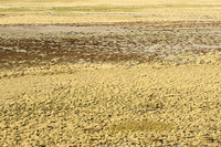 Helicopter flight ove Makgadikgadi salt pan