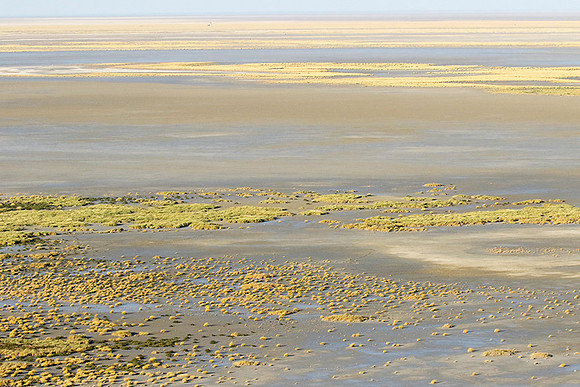 Helicopter flight ove Makgadikgadi salt pan