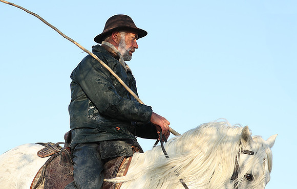 Guardians - Camargue